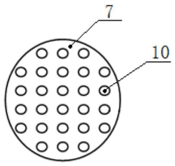 Immunofluorescence kit and detection method for detecting PD-L1 gene mutation of peripheral blood circulating tumor cells of small cell lung cancer patient