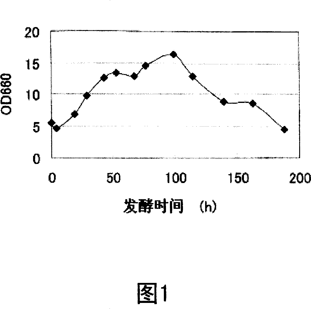 Catalase gene and use thereof