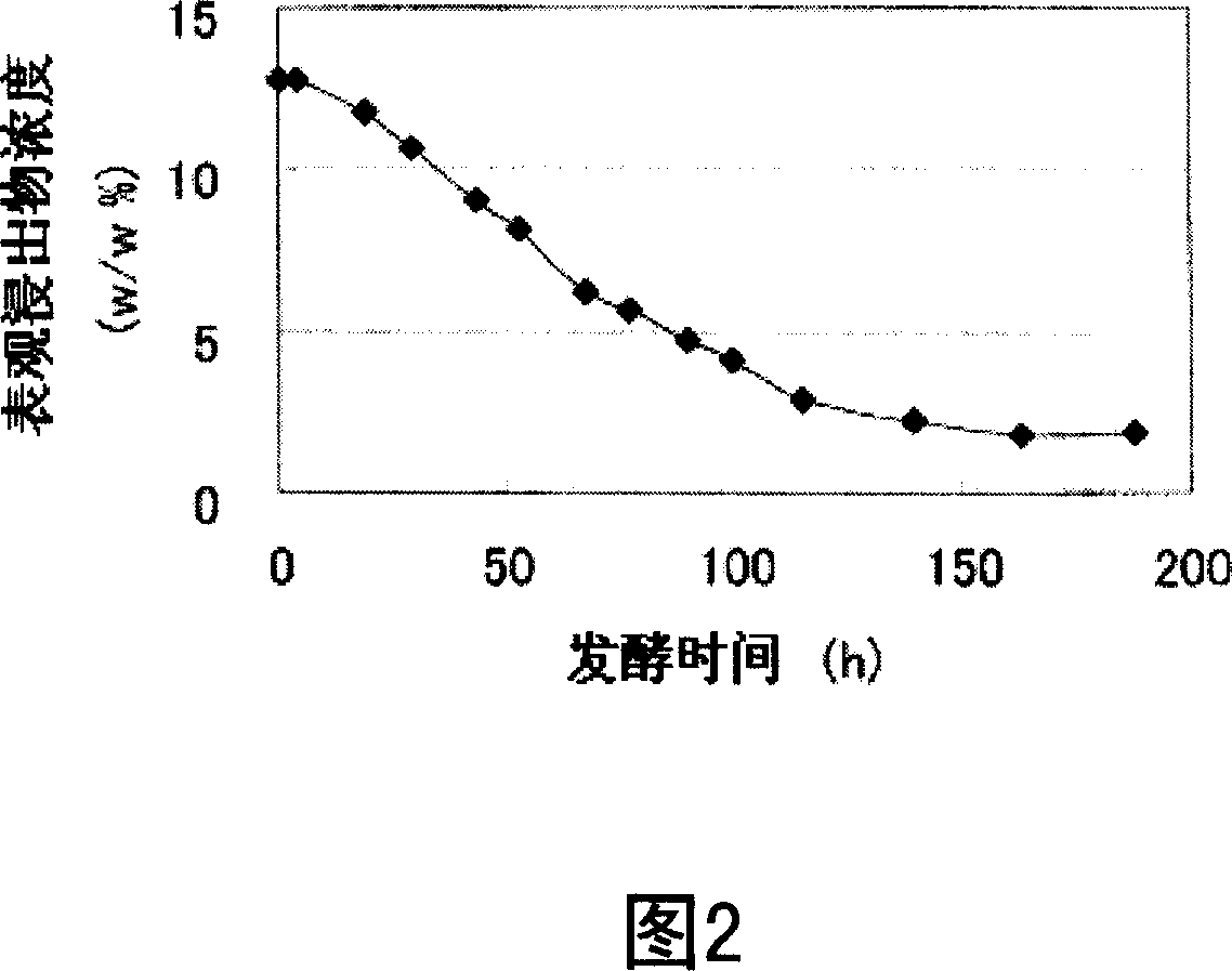 Catalase gene and use thereof