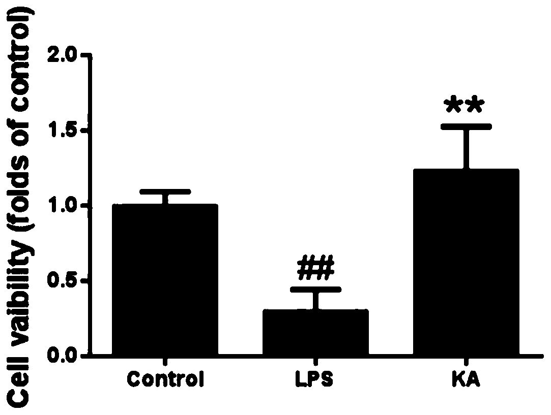 Application of kaempferol 3-glucorhamnoside in preparation of medicine for treating systemic severe sepsis
