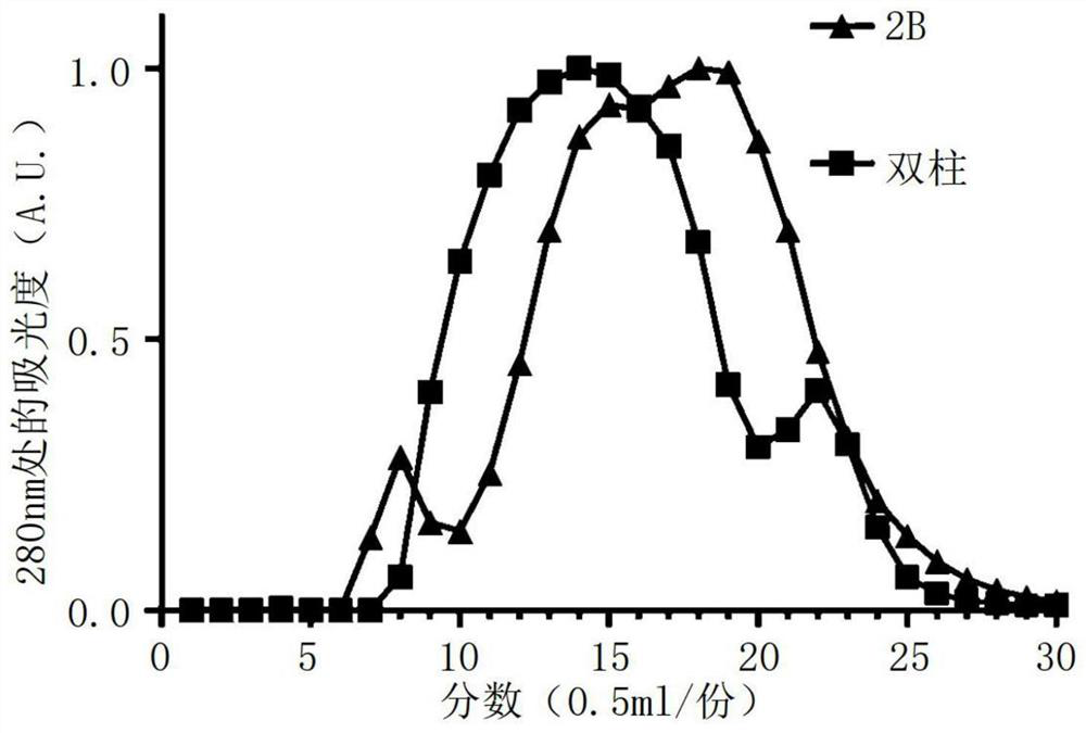 Multi-column for isolating exosomes and exosome isolation method