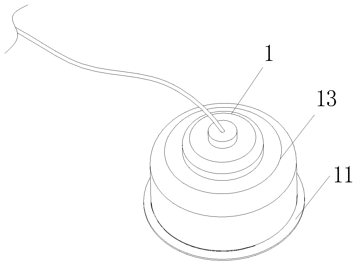 Novel audio auscultation device