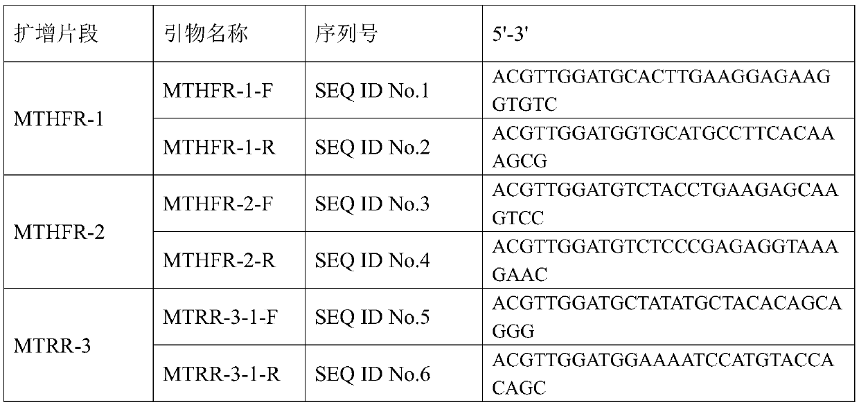 Method for detecting mutation site of folate metabolism related gene