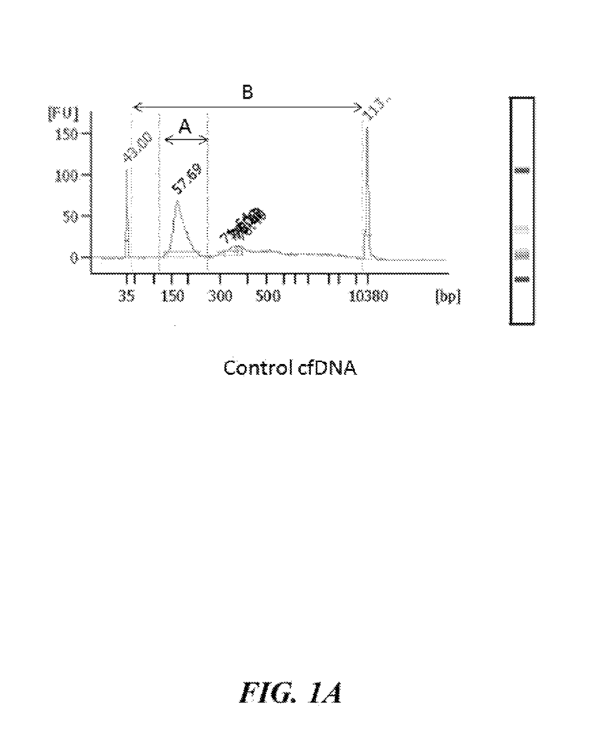 Cell-free nucleic acid standards and uses thereof