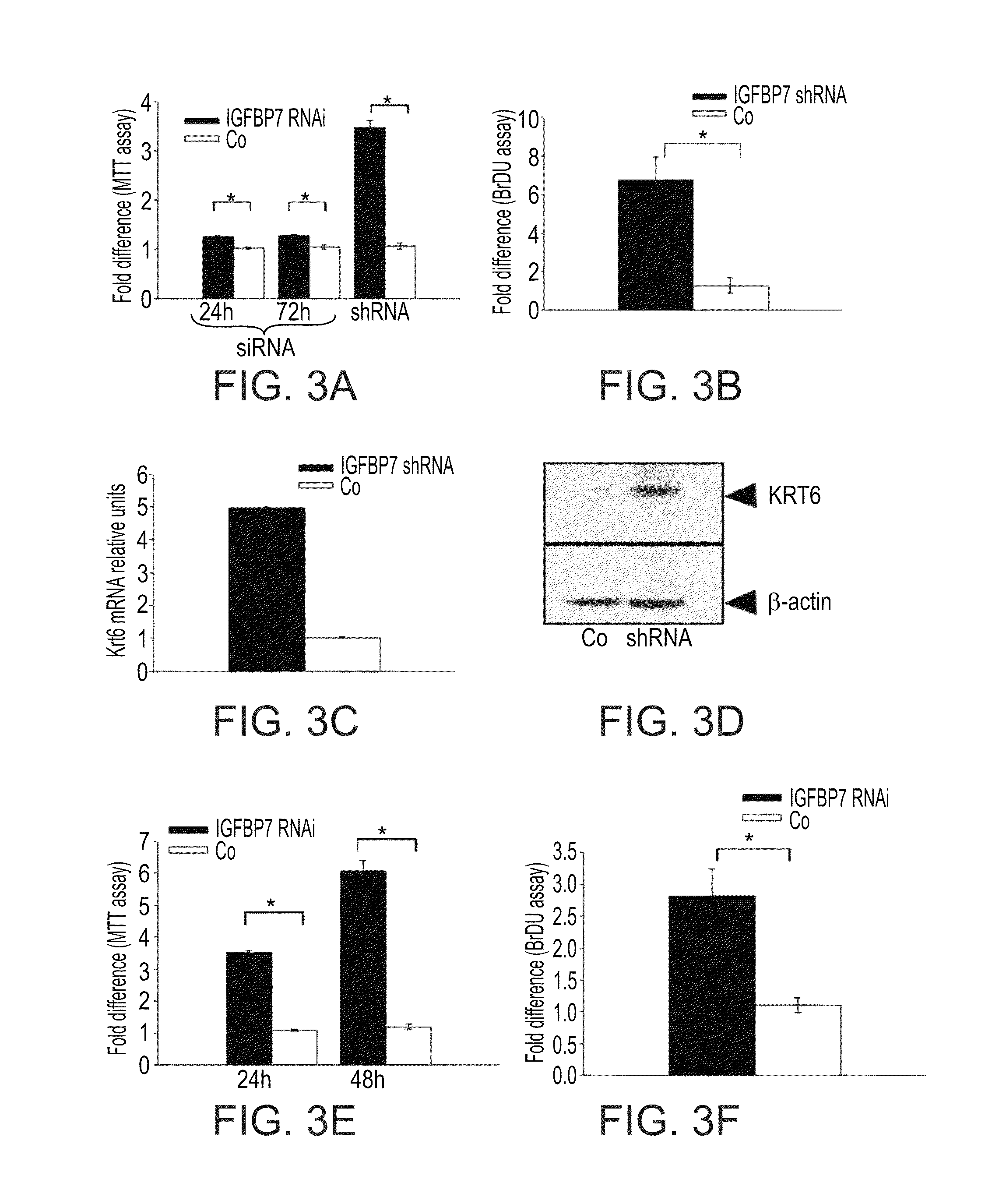 Method of regulating proliferation and differentiation of keratinocyes