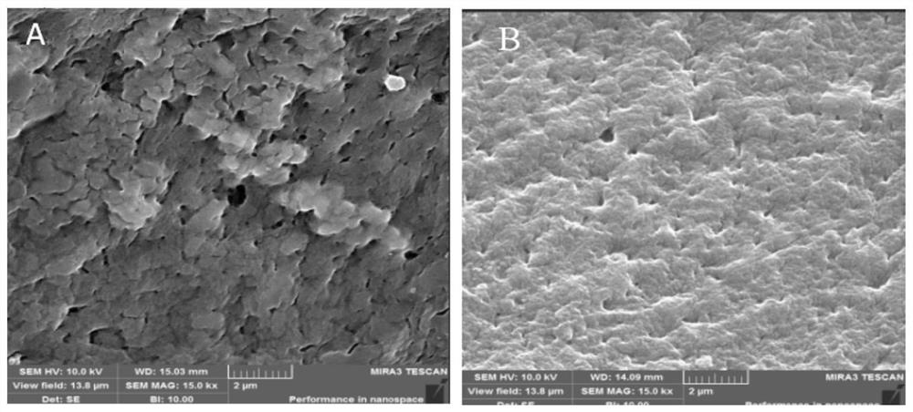 Preparation method and application of high-gel-strength minced meat products of aquatic products