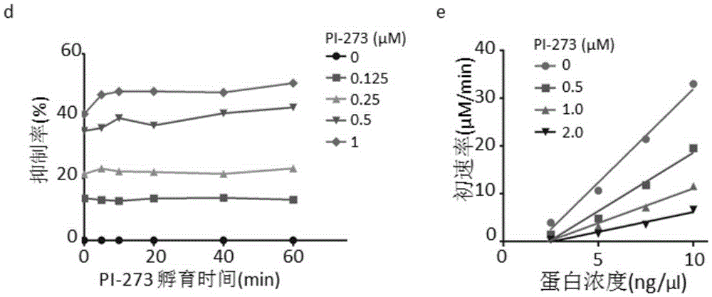Application of phosphatidyl inositol 4-position kinase type II alpha subtype specific inhibitor PI-273