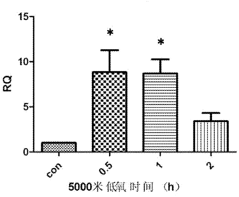 An early hypoxia detection kit using miRNA-210 as a marker