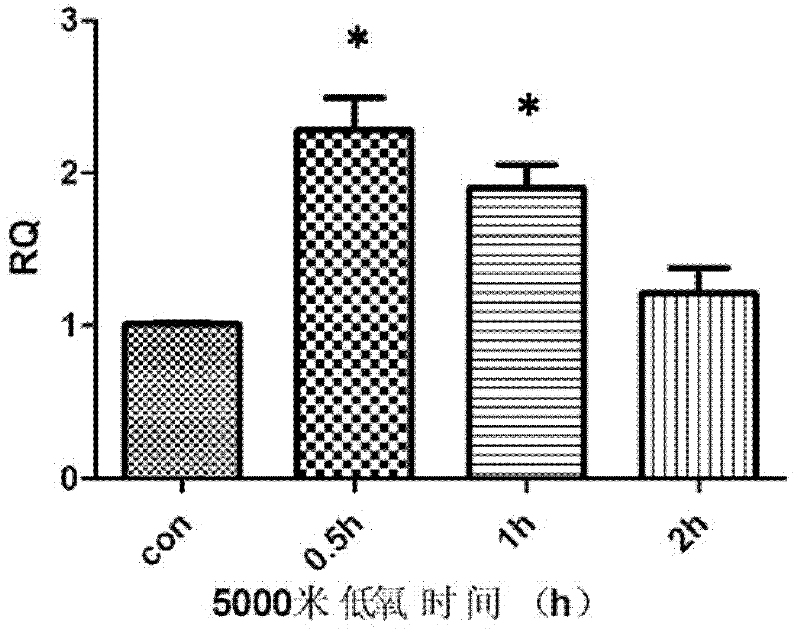 An early hypoxia detection kit using miRNA-210 as a marker