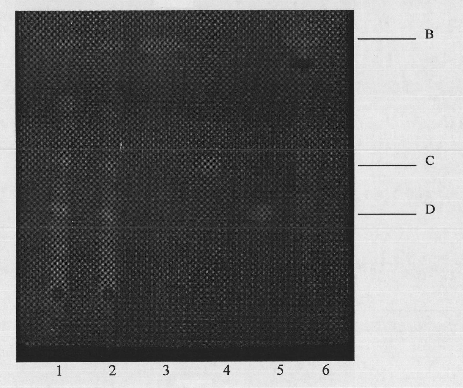 Method for identifying rhizoma atractylodis macrocephalae by adopting thin layer chromatography