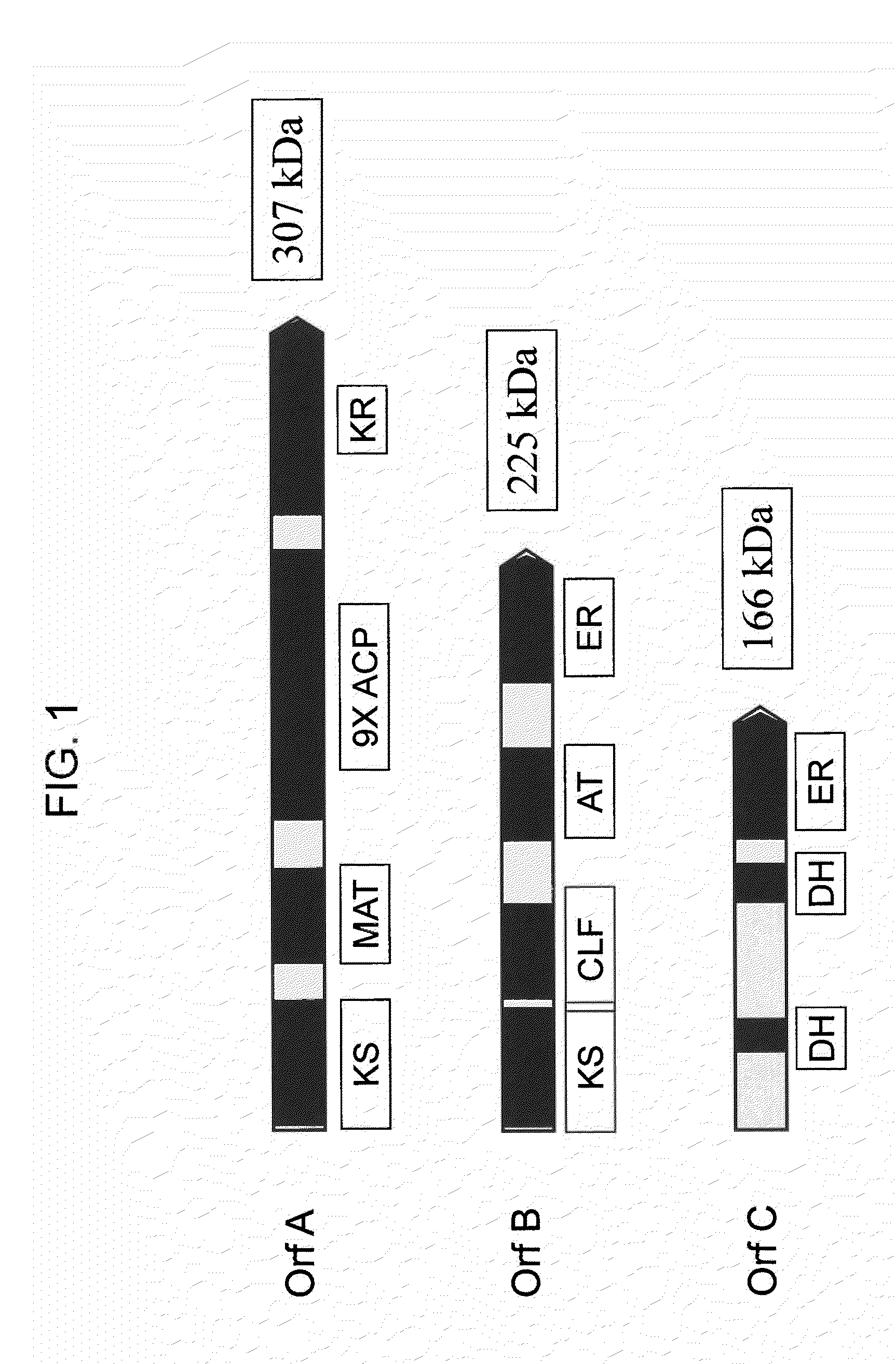 Chimeric PUFA Polyketide Synthase Systems and Uses Thereof