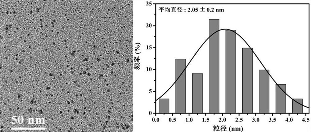 Biomass carbon dot fluorescent probe for ratio quantitative detection of adriamycin as well as preparation method and application of biomass carbon dot fluorescent probe