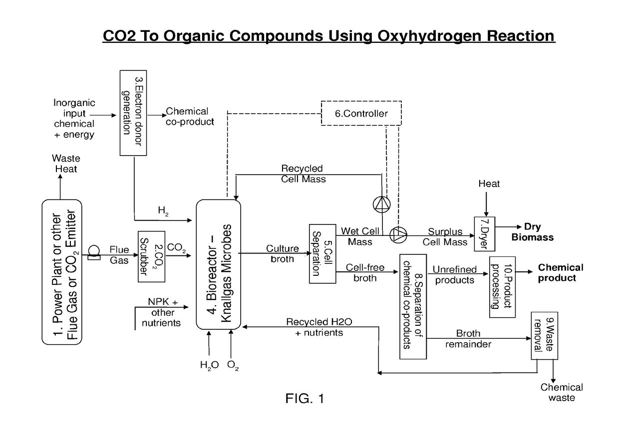 Use of Oxyhydrogen Microorganisms for Non-Photosynthetic Carbon Capture and Conversion of Inorganic and/or C1 Carbon Sources into Useful Organic Compounds