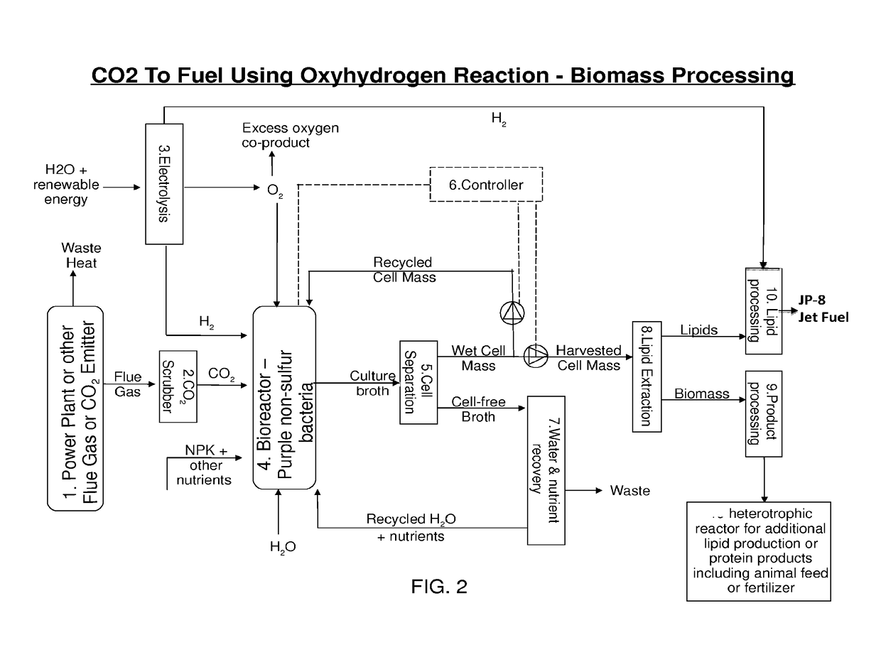 Use of Oxyhydrogen Microorganisms for Non-Photosynthetic Carbon Capture and Conversion of Inorganic and/or C1 Carbon Sources into Useful Organic Compounds