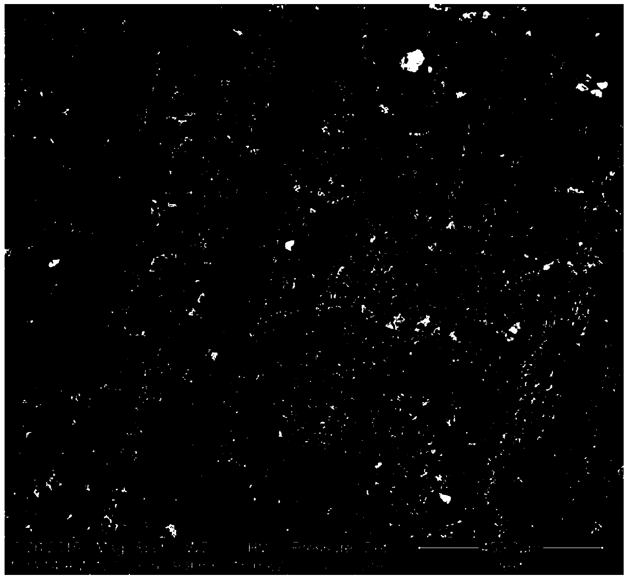 Preparation method of self-healing conversion film coated with rare earth elements on the surface of magnesium-aluminum alloy