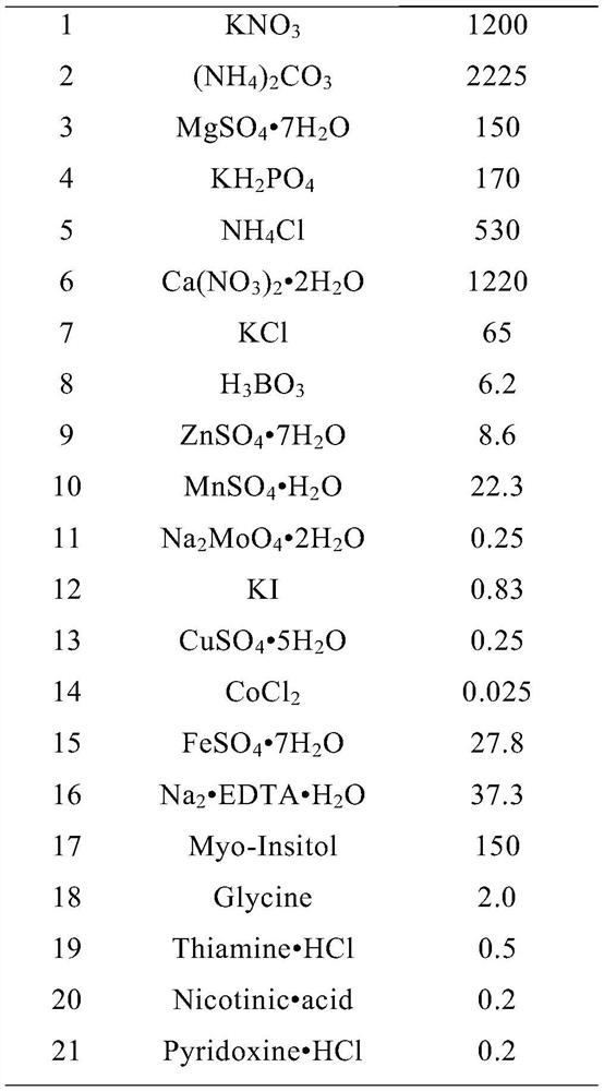 A kind of high-efficiency in vitro rapid propagation method and culture medium of clematis