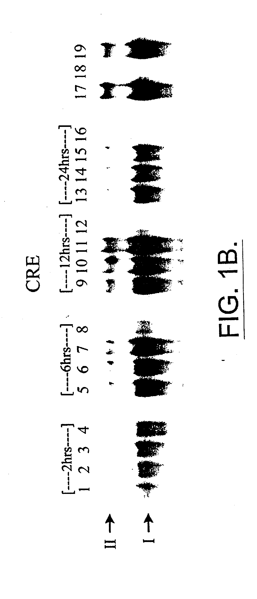 Method of Treating Cancer Using Dithiocarbamate Derivatives