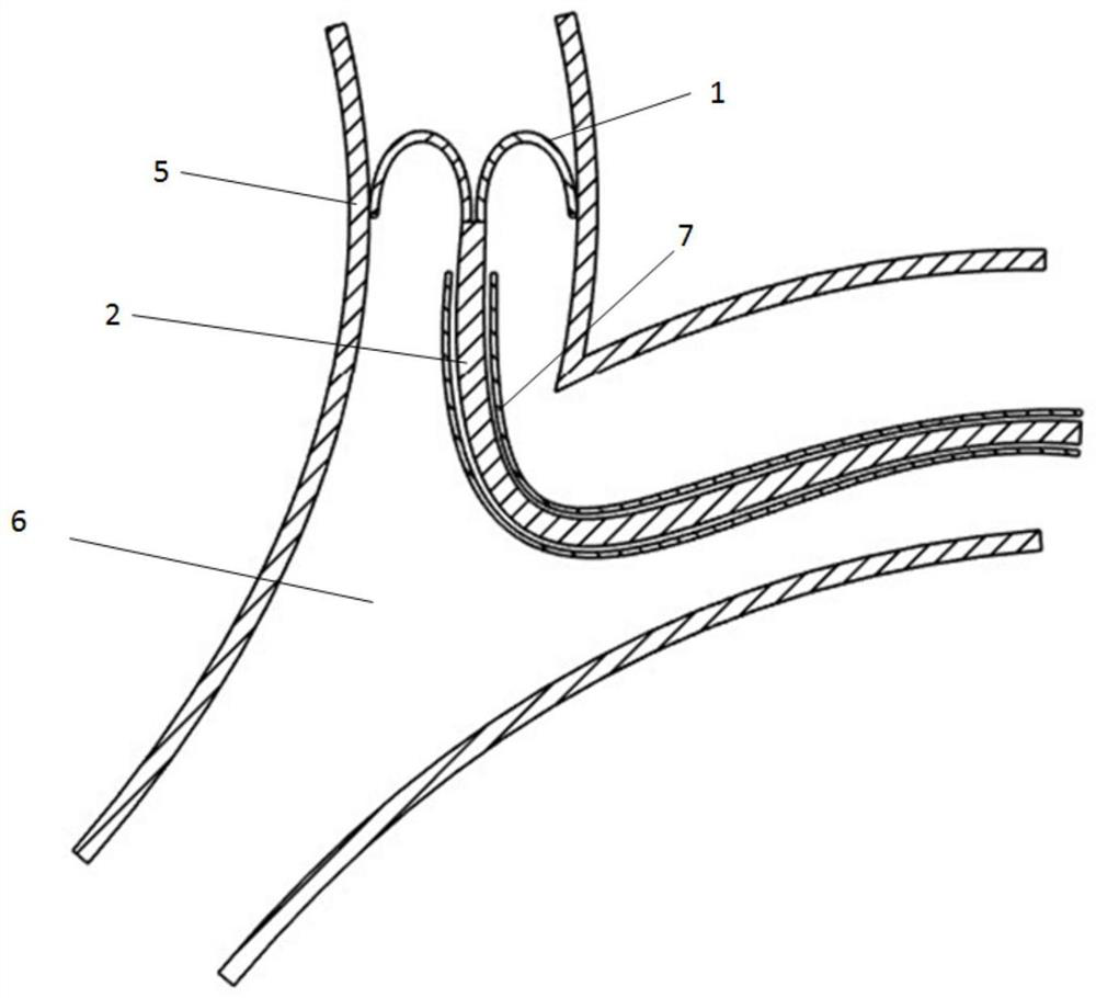 Guide wire for aortic arch interventional therapy