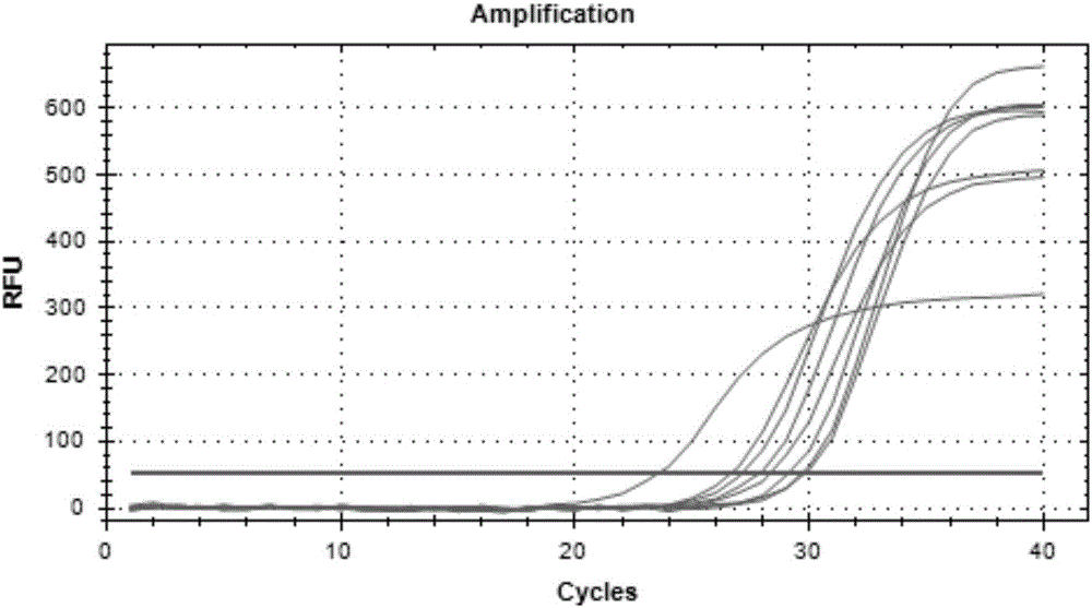 Method for analyzing mixed sample DNA (Deoxyribose Nucleic Acid) on basis of INDEL-SNP (INDEL and Single Nucleotide Polymorphism) linkage relationship