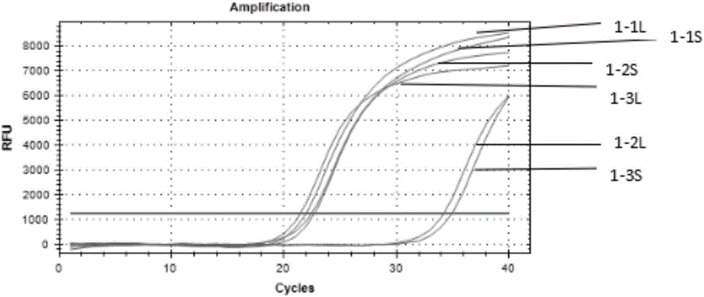 Method for analyzing mixed sample DNA (Deoxyribose Nucleic Acid) on basis of INDEL-SNP (INDEL and Single Nucleotide Polymorphism) linkage relationship