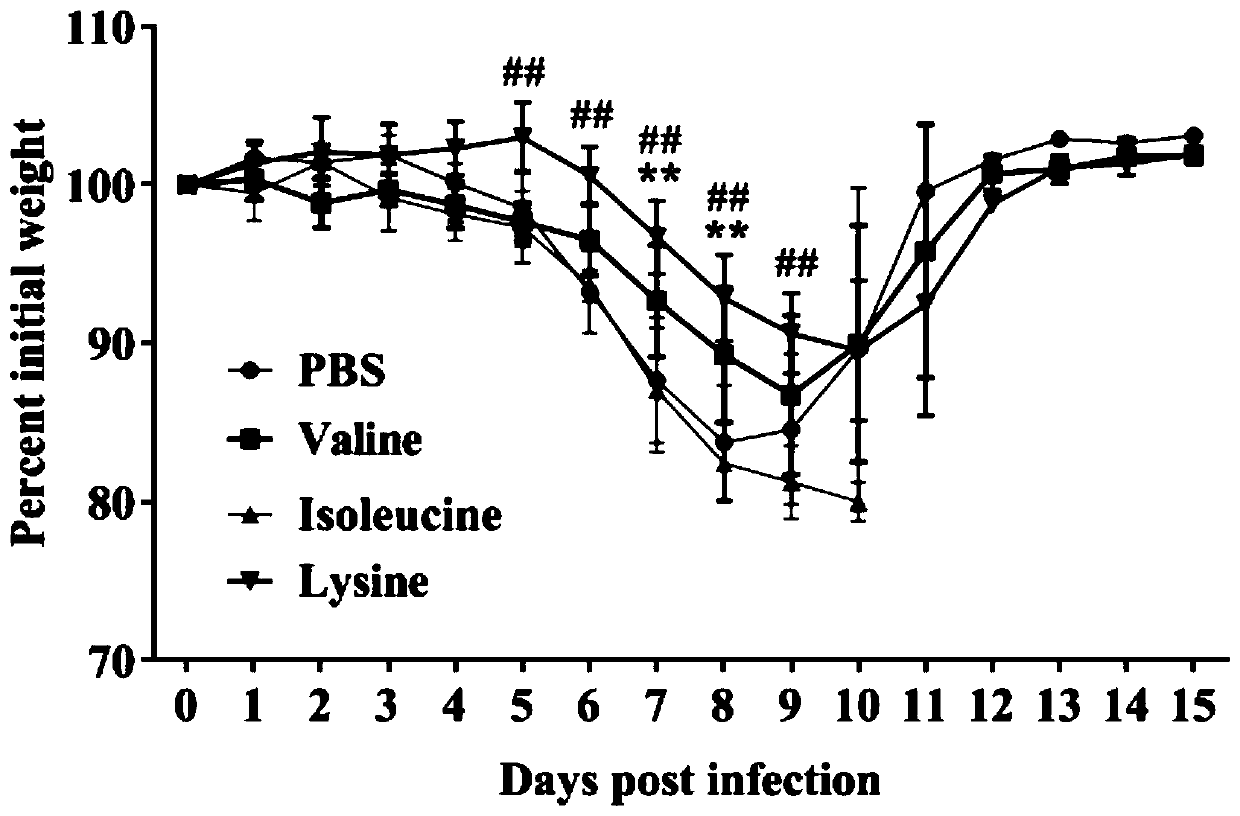 Application of valine in preparation of drug for treating or preventing infection of avian influenza virus