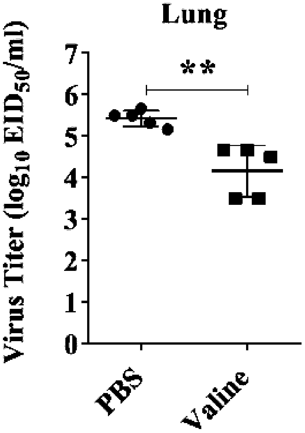 Application of valine in preparation of drug for treating or preventing infection of avian influenza virus