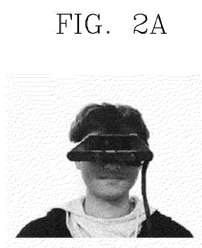 Apparatus and method for estimating hand position utilizing head mounted color depth camera, and bare hand interaction system using same