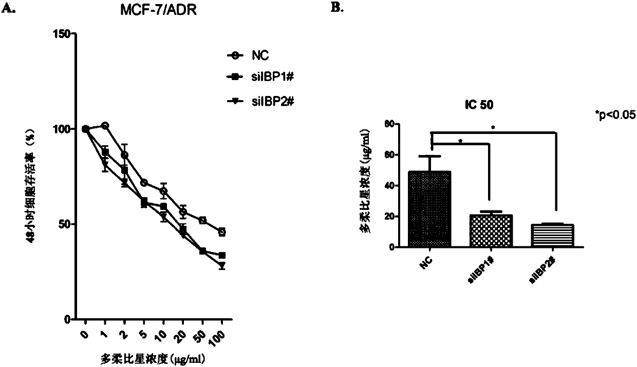 The application of multidrug resistance protein molecule IBP in breast cancer