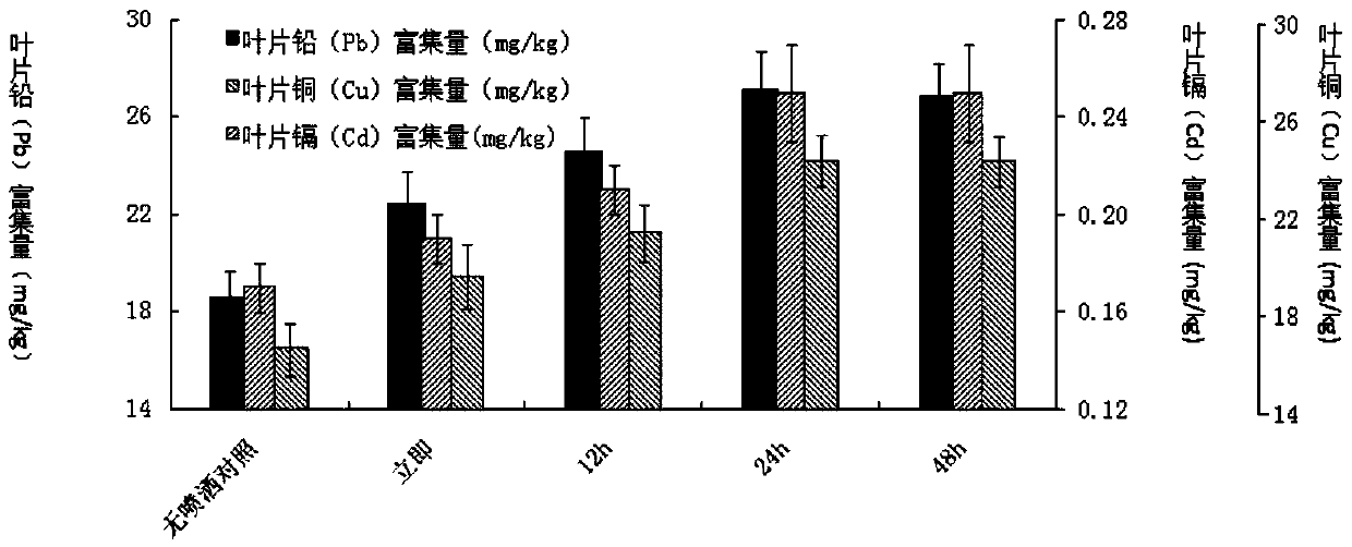 Treatment method for improving heavy metal polluted soil remediation efficiency through photinia serrulata