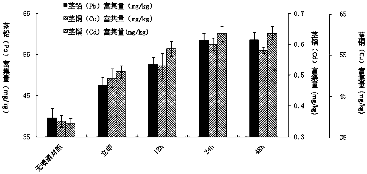 Treatment method for improving heavy metal polluted soil remediation efficiency through photinia serrulata