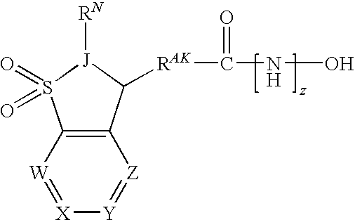 Bicyclosulfonyl Acid (BCSA) Compounds and Their Use as Therapeutic Agents