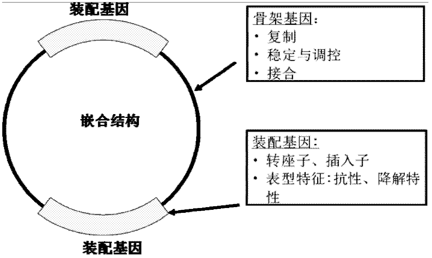 Method for screening self-transmissible broad host range plasmid carrying petroleum hydrocarbon degrading gene by utilizing triparental pairing conjugation and single carbon source of petroleum hydrocarbon