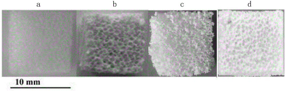 Beta-TCP/PGS composite scaffold and preparation method and application thereof