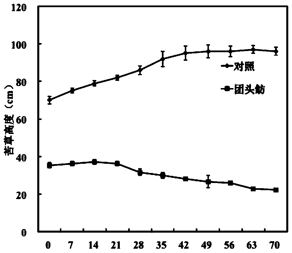 A comprehensive technical solution for regulating submerged plant communities using herbivorous fish