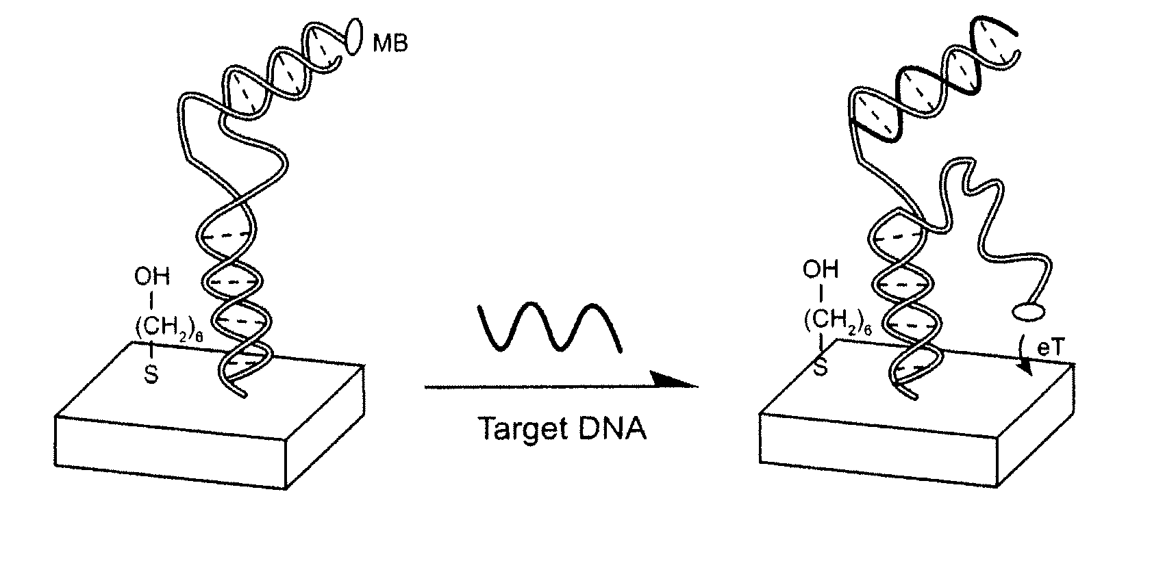 Signal-on architecture for electronic, oligonucleotide-based detectors