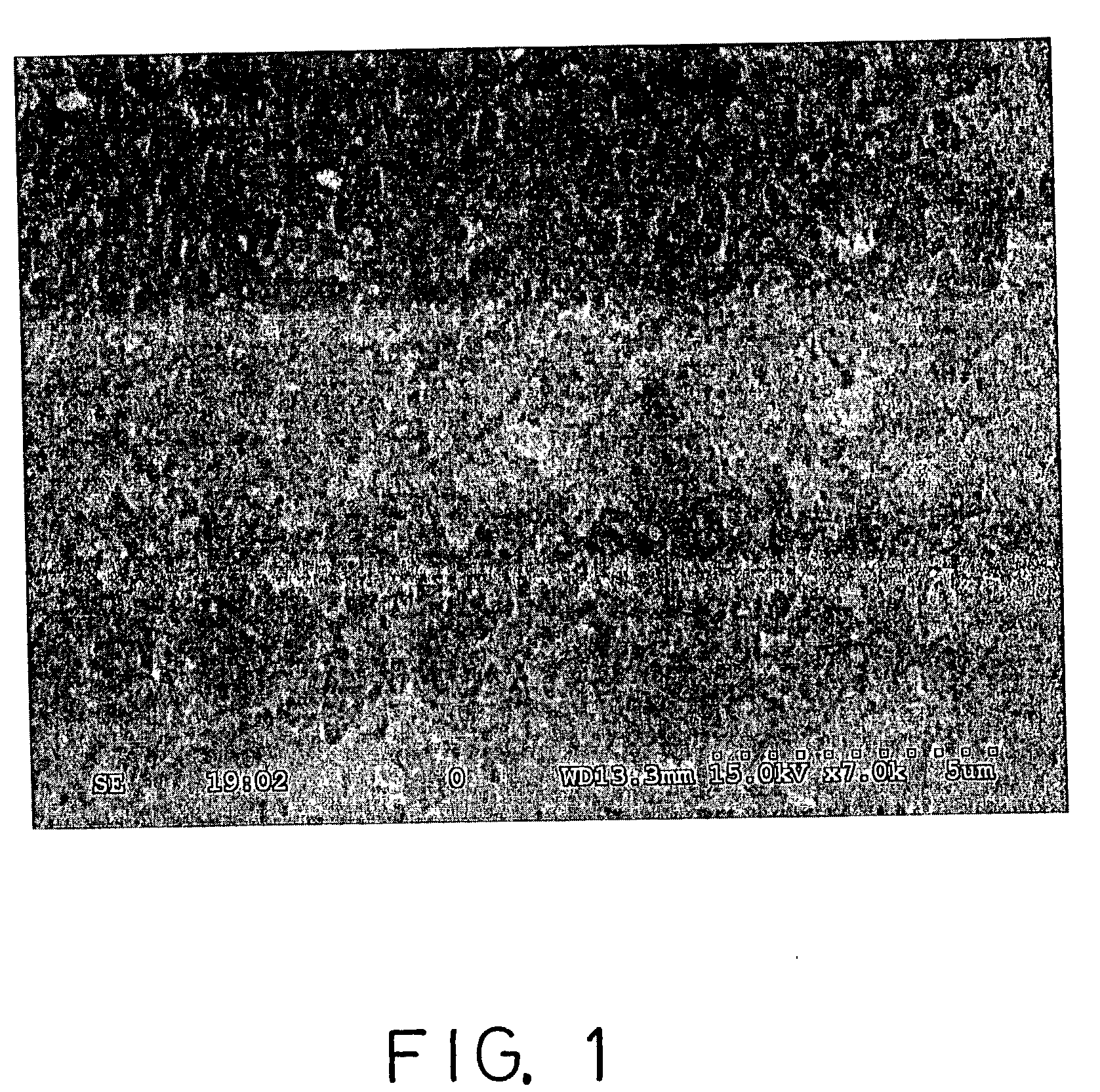 Method for preparing solid-state polymer zinc-air battery