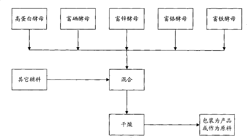 Multi-nutrient composite yeast powder