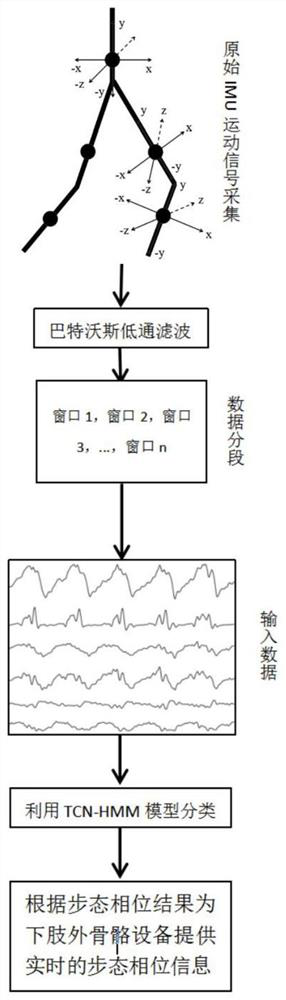 Exoskeleton-oriented gait phase classification method based on TCN-HMM