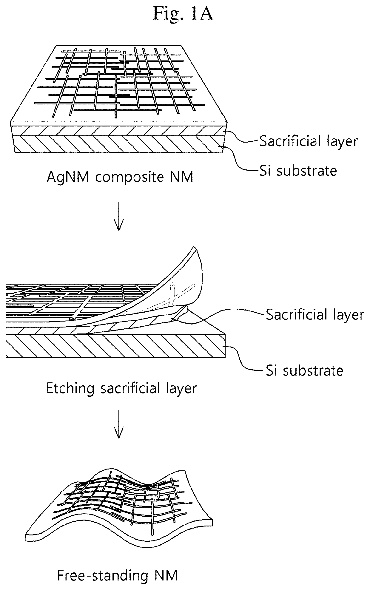 NANO membrane, method of manufacturing NANO membrane, and apparatus for speaker and microphone using NANO membrane