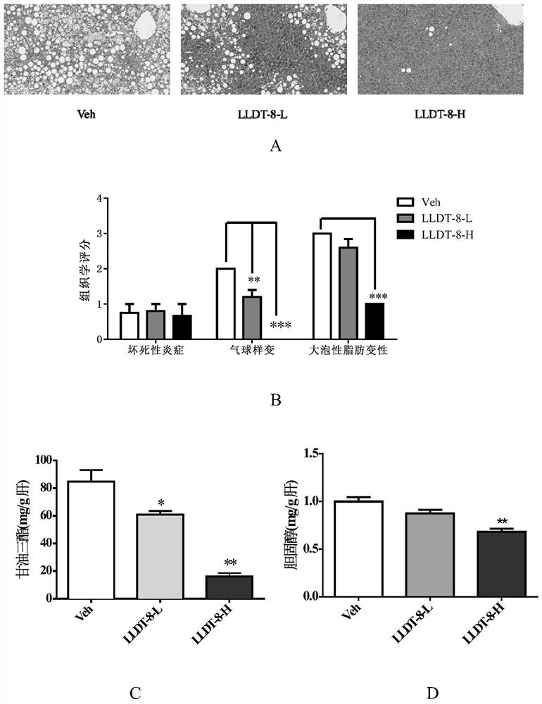 Application of LLDT-8 ((5R)-5-hydroxytriptolide) to preparation of drug for treating non-alcoholic fatty liver disease