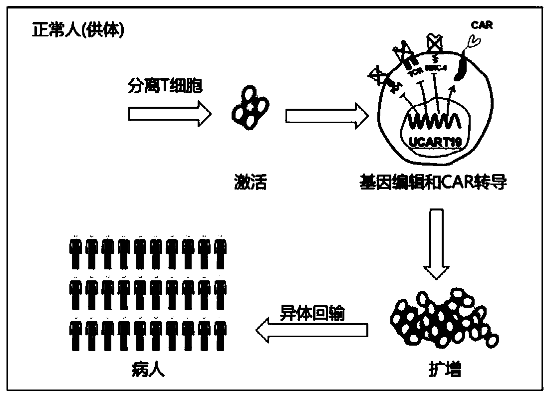 A kind of function-enhanced universal car-t cell and its preparation method and application
