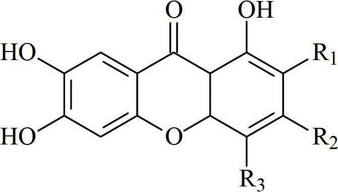 Application of mangiferin compound or mango extraction as pancreatic lipase inhibitor and in preparation of medicament or food for preventing and treating obesity