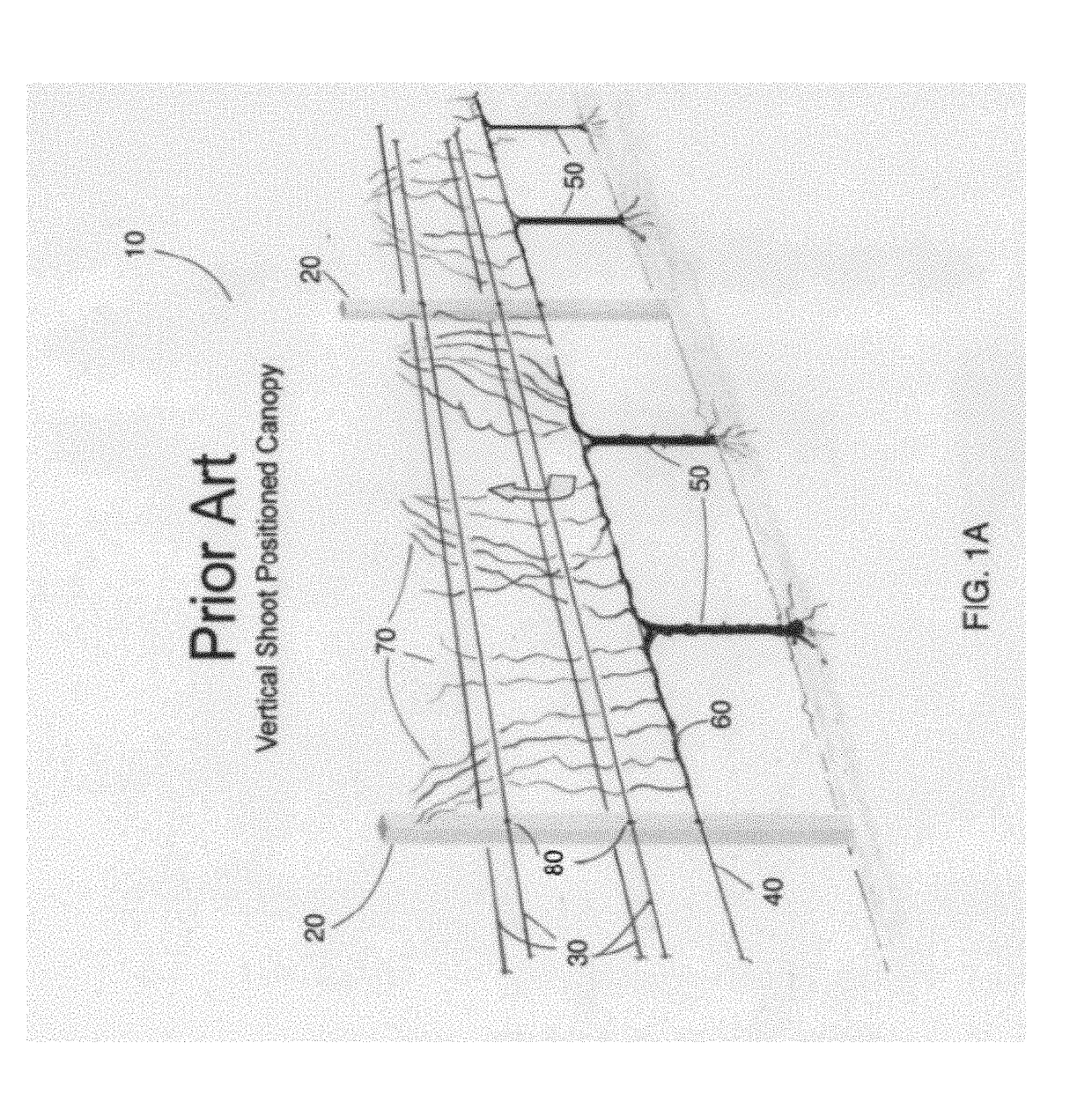 Swing Arm Training System for Vines