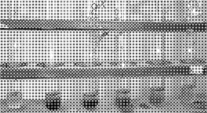 A rapid detection method for adding diclofenac sodium in anti-rheumatic Chinese patent medicine or health food