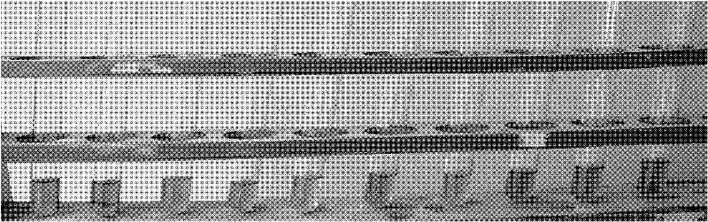 A rapid detection method for adding diclofenac sodium in anti-rheumatic Chinese patent medicine or health food