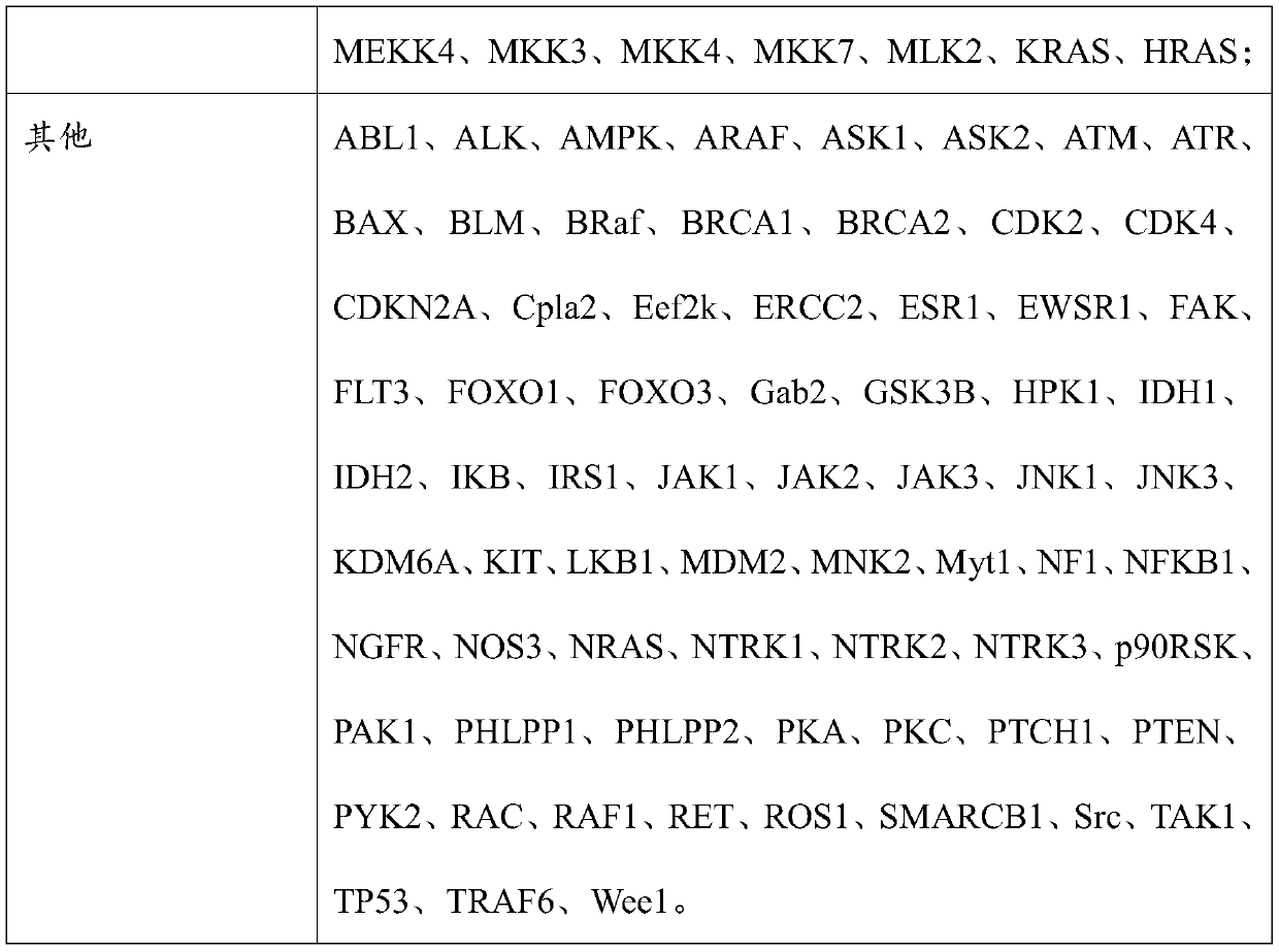 Breast cancer-related kinase mutation detection panel and application thereof