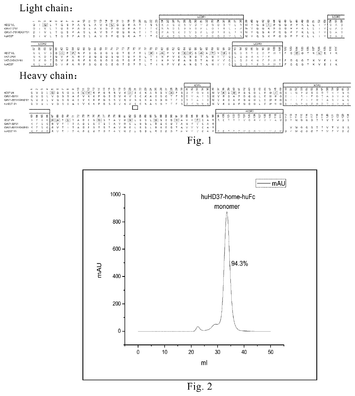 Anti-cd19 humanized antibody and immune effector cell targeting cd19