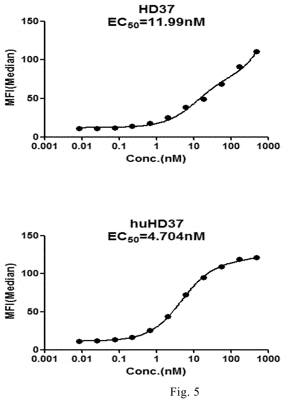 Anti-cd19 humanized antibody and immune effector cell targeting cd19