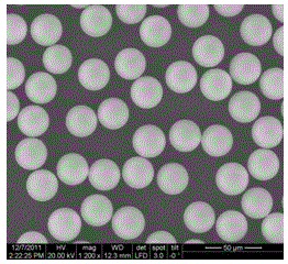 Polymer microsphere preparation method and polymer microsphere application