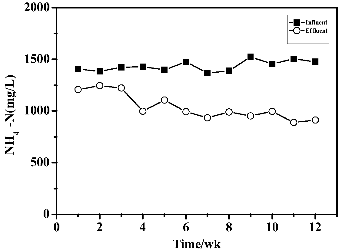 Waste leachate-based high-efficiency nitrogen and carbon removing anaerobic reaction device and method